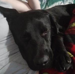 Meet your Posher, Rayvn